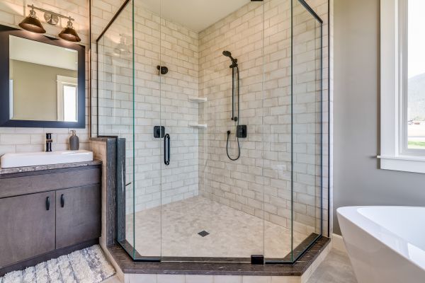Bathroom Modification in Saint Paul
