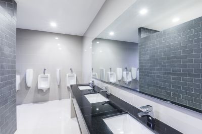 Renovated Bathroom Fixtures