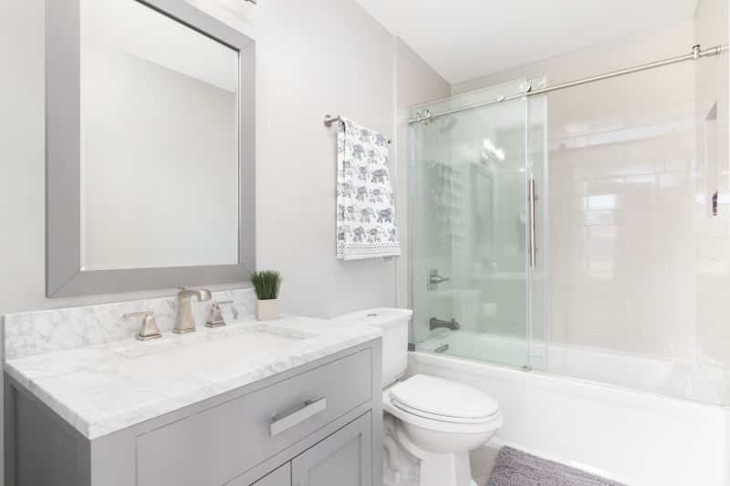 Top Tub To Shower Conversion Companies in Minnetonka, MN