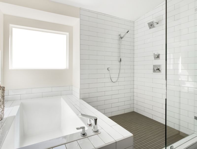 Top Tub To Shower Conversion Companies in Wayzata, MN